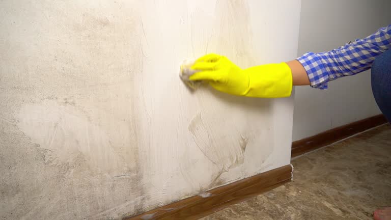 Best Biohazard Mold Removal  in William Paterson University Of New Jersey, NJ